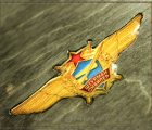 Remen-Avia-5